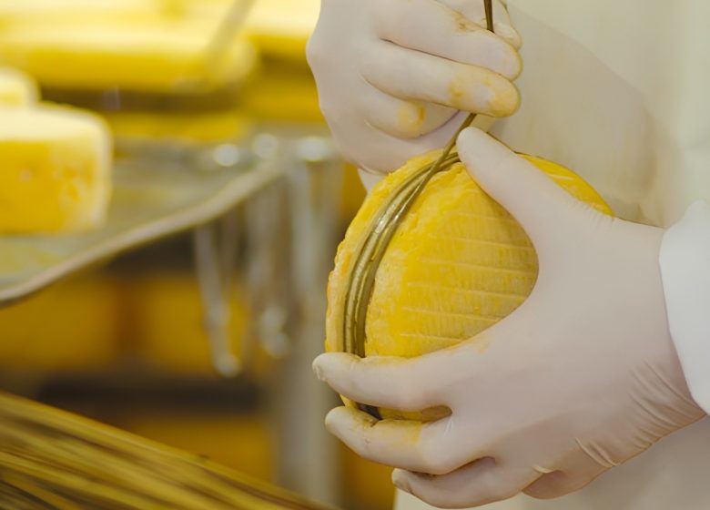 LIVAROT_Fromagerie Graindorge