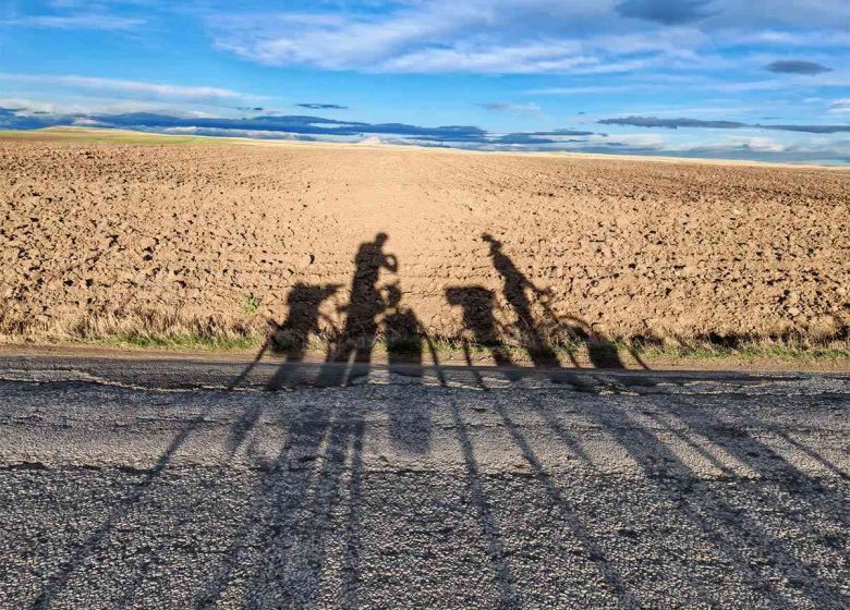 Le cycle de gilgamesh