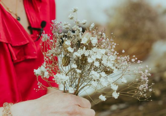 Les-Fleurs-de-la-Clarte–Saint-Jouin—Fleurs