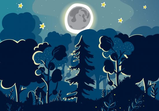 Nuit au jardin