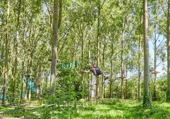 Parcours violet tyrolienne