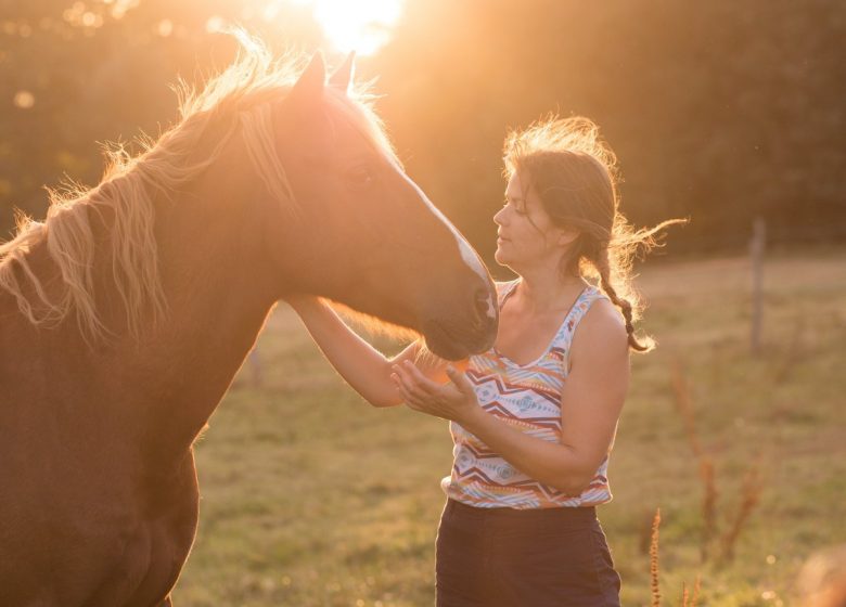 equicoaching normandie calvados cabourg houlgate deauville
