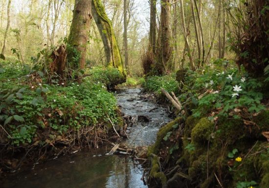 Ruisseau-Grande-Vallée-Joël