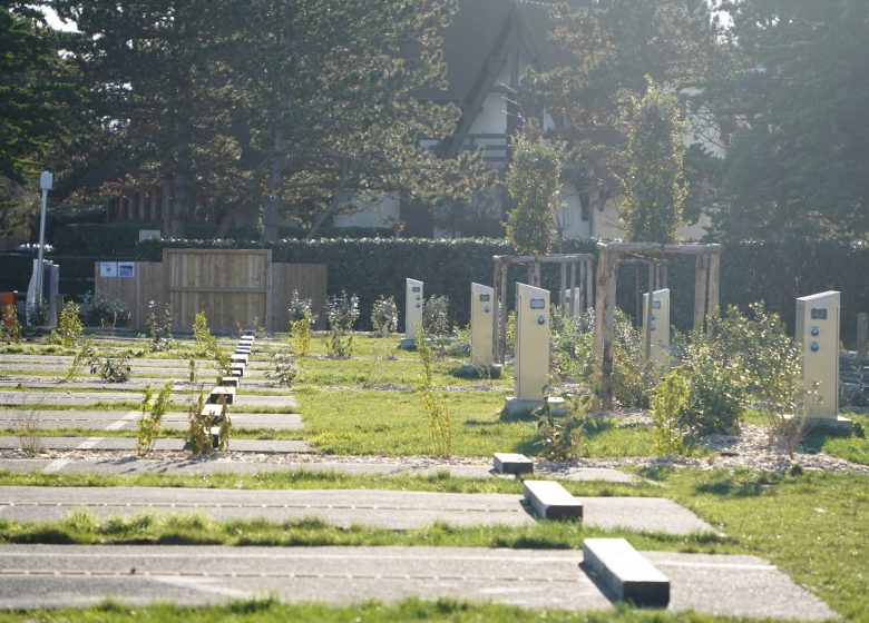 S._Marteil_2024_(11)[1]