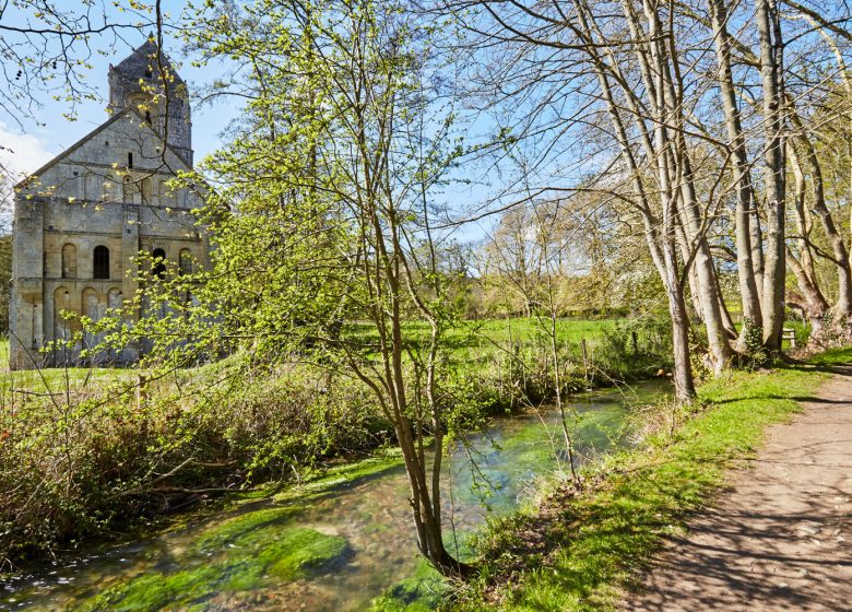 Thaon__eglise_Saint-Pierre-Caen_la_mer_Tourisme___Fabien_MAHAUT-balade botanique 13 avril