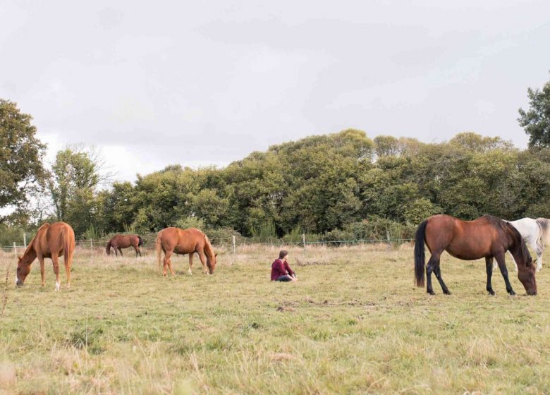 Un temps pour soi avec les chevaux