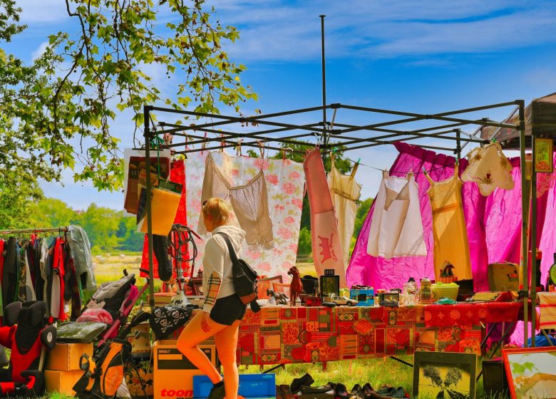 alain-rouiller-bYe64noNyr8-unsplash