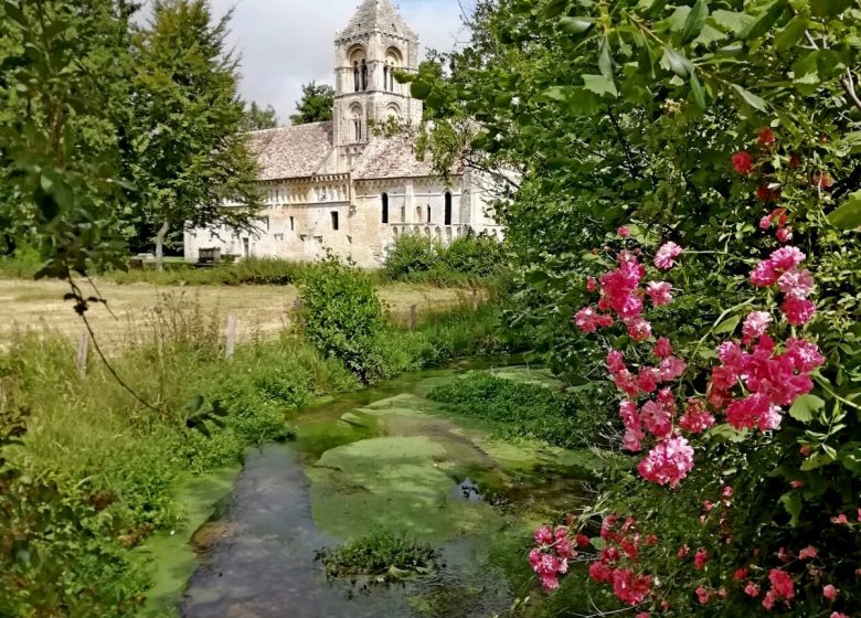 avec-les-roses-12-07-2019