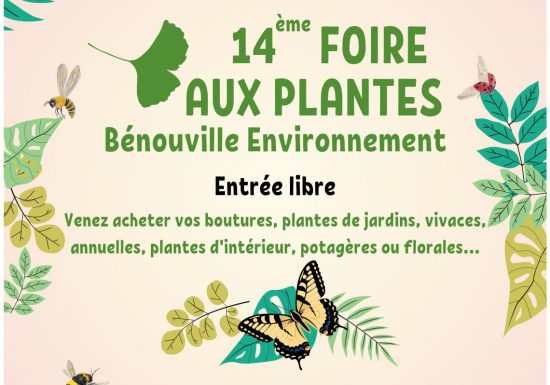 fapAffichePDF_page-0001