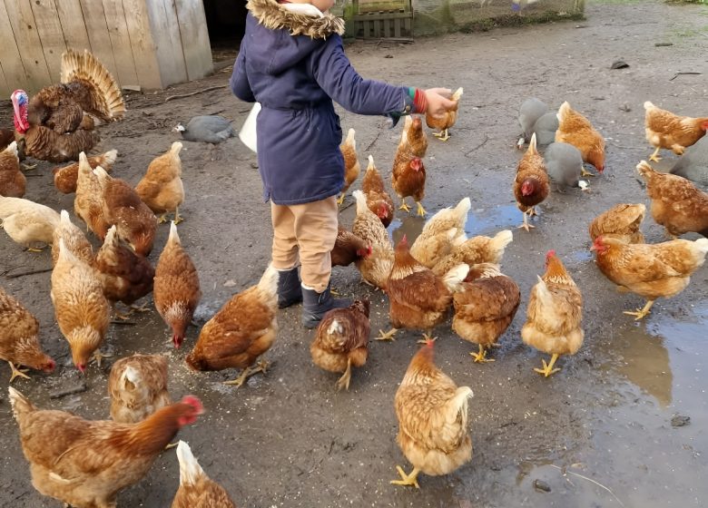 ferme-de-ouezy-en-Normandie