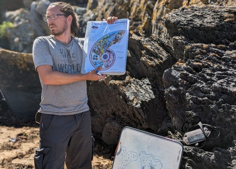 Sortie ludique géologie fossiles coquillages lion sur mer normandie
