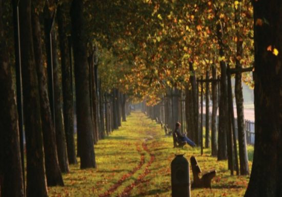 guichard2003prairie31-800×600