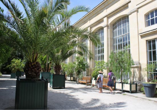 jardin-des-plantes-l-orangerie