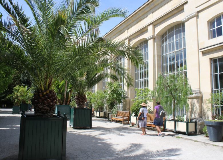 L'Orangerie du Jardin des Plantes à Caen en Normandie