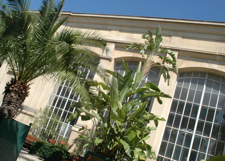 Serre du jardin des plantes Caen