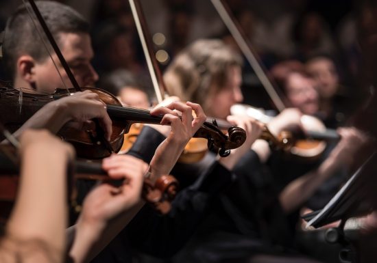 larisa-birta-slbOcNlWNHA-unsplash