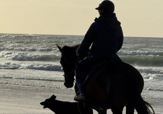 les-etriers-de-la-plage-1