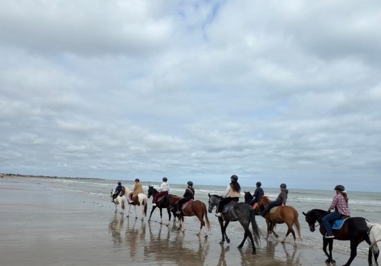 les-etriers-de-la-plage-3