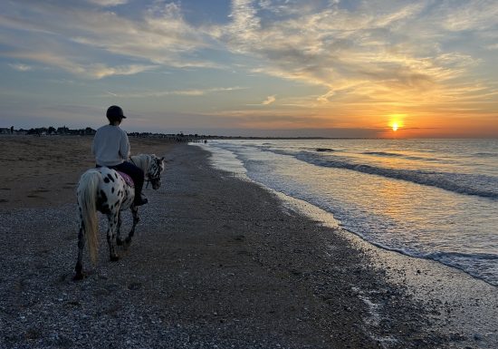 les-etriers-de-la-plage-5