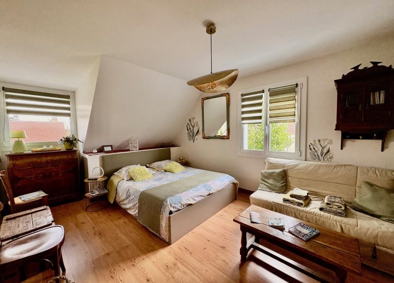 les-micha-chambre-algues-1