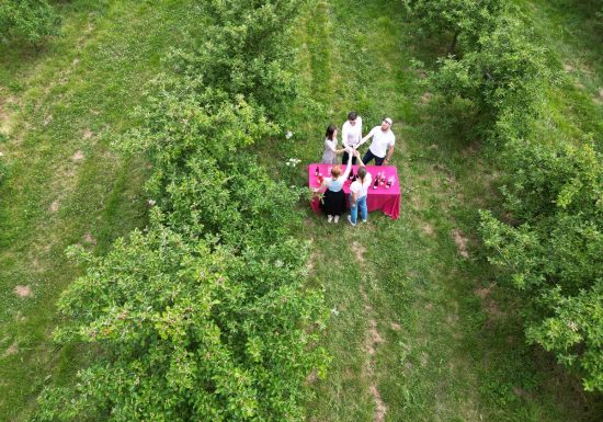 les-vergers-de-ducy-drone-credit-wo0tz (7)