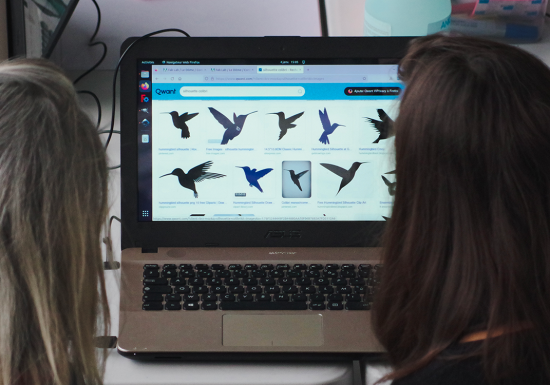 mangeoire-oiseaux-LeDome