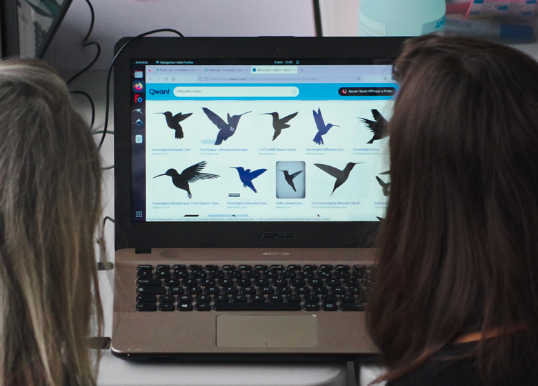 mangeoire-oiseaux-LeDome