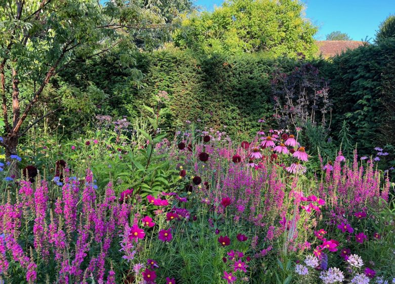 nouveau jardin en chambre le jardin pourpre