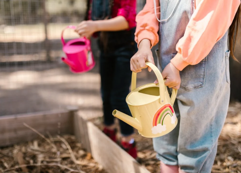 pexels-photo-7782200