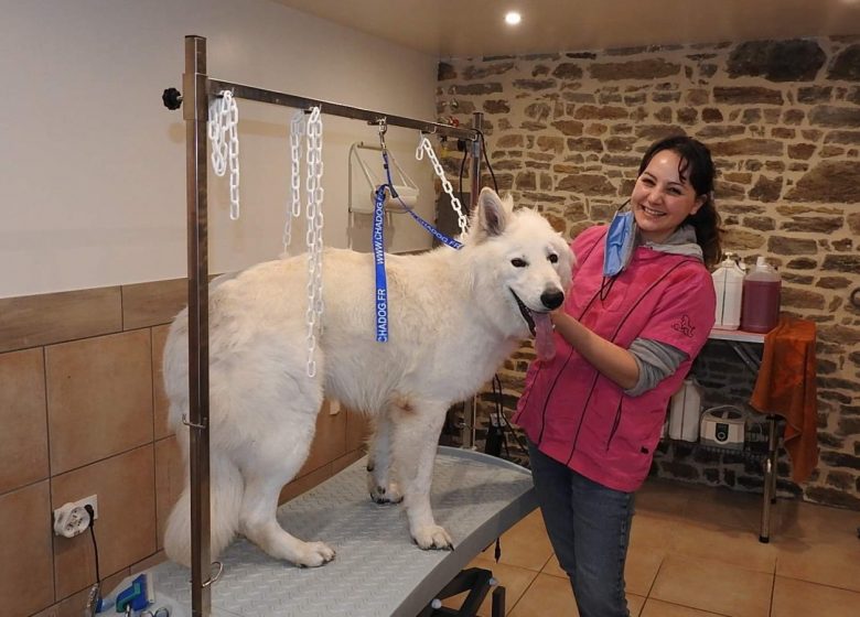 received_711817069480486