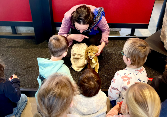 safari tourinsoft – 1