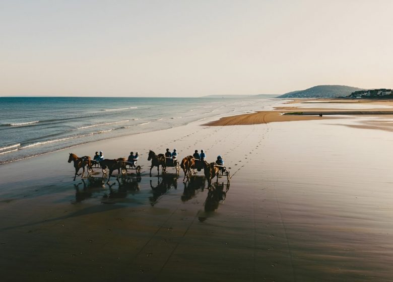 sulky-passion-photo-drone-2