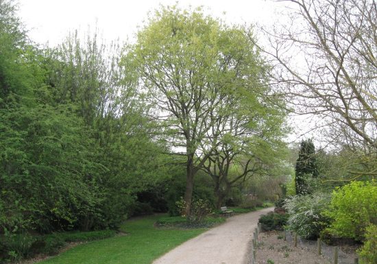 vallee-des-jardins-2