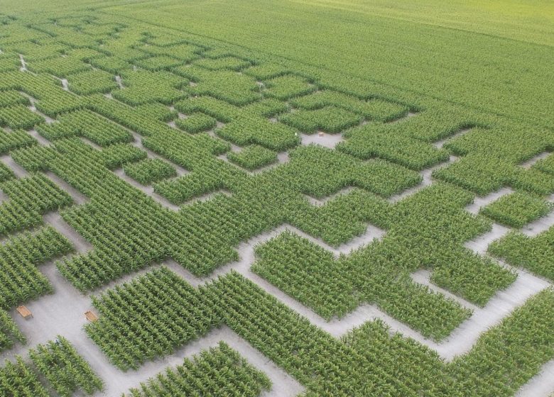 Pop Corn Labyrinthe - Vue aérienne