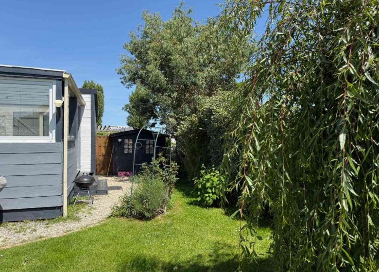 vue du jardin