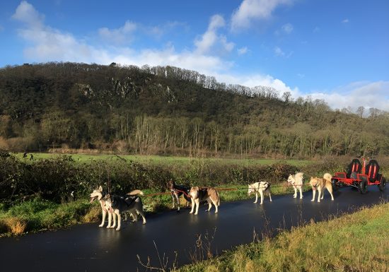 will to go Lénault crédit Flavien Deletre TIS