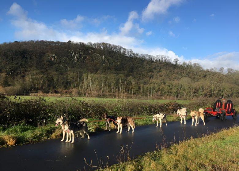 will to go Lénault crédit Flavien Deletre TIS